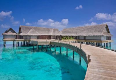 攜程上線近700條出境團隊游產品，熱點目的地分析與行業展望